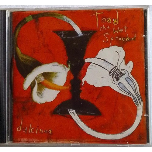 TOAD THE WET SPROCKET  DULCINEA