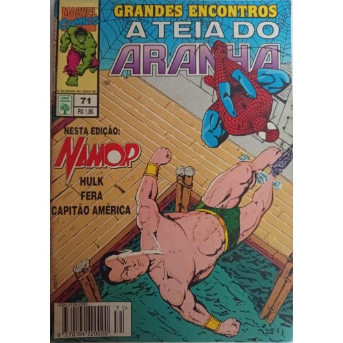 A TEIA DO ARANHA GRANDES ENCONTROS N° 71 / FORMATINHO