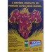ARMAGEDDON 2001 FINALMENTE A IDENTIDADE DO MONARCA REVELADA N° 8 / FORMATINHO