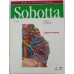 COLEÇÃO SOBOTTA 3 VOLUMES/FRIEDRICH PAULSEN E JENS WASCHKE
