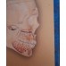 ANATOMIA DAS CAVIDADES PULPARES/CLOCIS MONTEIRO BRAMANTE