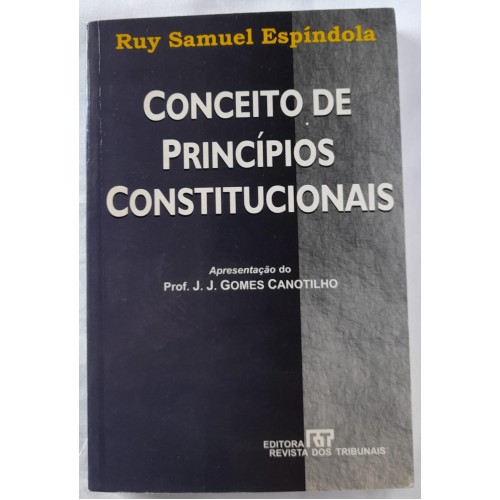 CONCEITO DE PRINCÍPIOS CONSTITUCIONAIS/RUY SAMUEL ESPÍNDULA 
