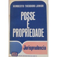 POSSE E PROPRIEDADE/HUMBERTO THEODORO JUNIOR POSSE E PROPRIEDADE/HUMBERTO THEODORO JUNIOR