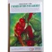O IMORTAL HULK NÚMERO 02