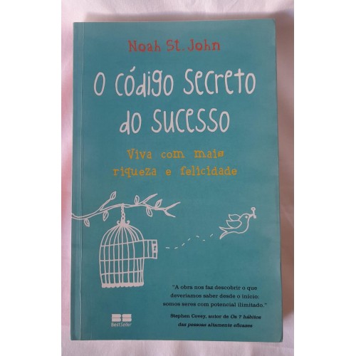 O Código Secreto do Sucesso-Noah St. John